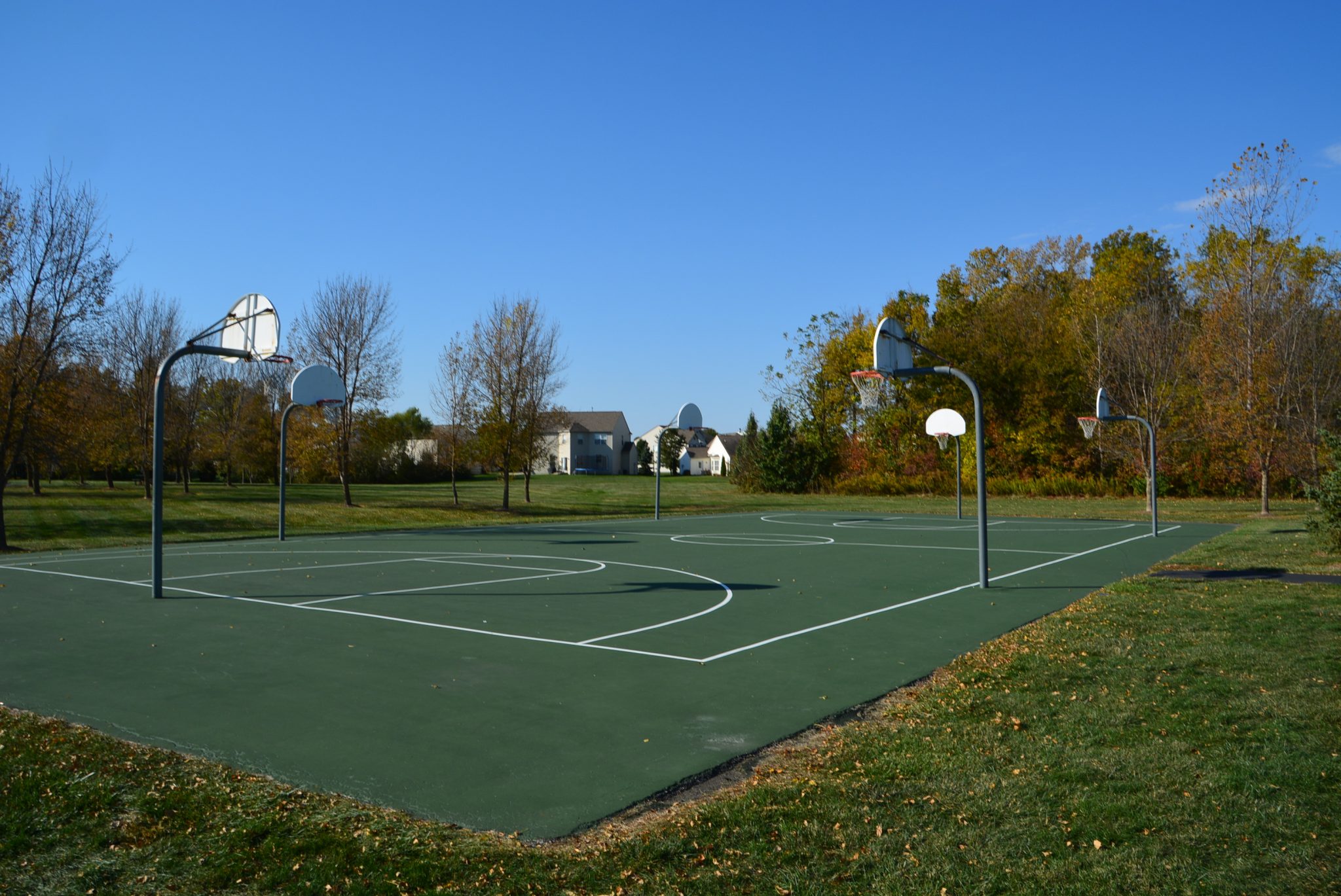 Royal Run Subdivision Zionsville, IN